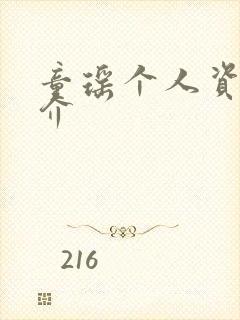 童瑶个人资料简介