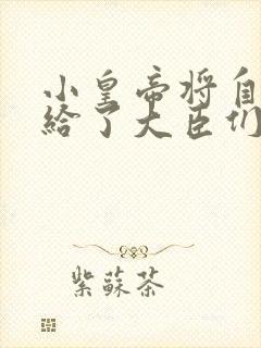 小皇帝将自己赏给了大臣们