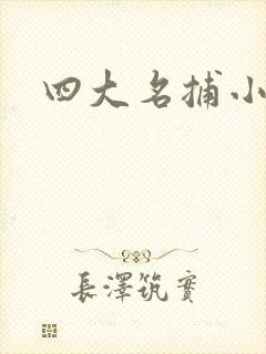 四大名捕小说