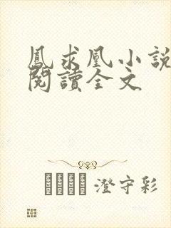 凤求凰小说免费阅读全文