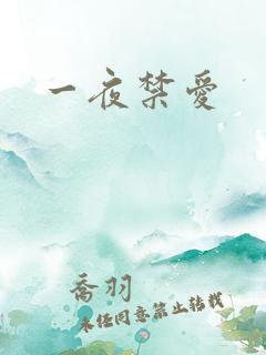 一夜禁爱