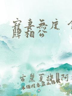 宠妻无度  金牌相公