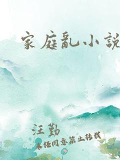 家庭乱小说