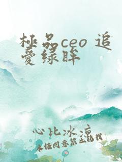 极品ceo 追爱绿眸