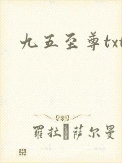 九五至尊txt