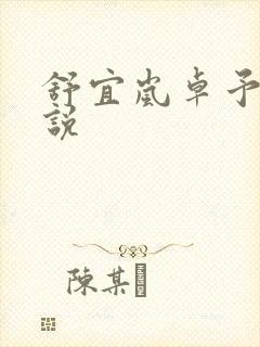 舒宜岚卓予淮小说