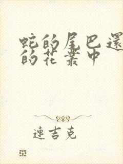 蛇的尾巴还在我的花丛中