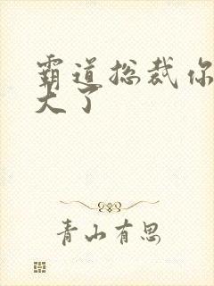 霸道总裁你的太大了