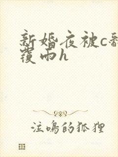 新婚夜被c翻云覆雨h