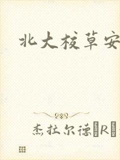 北大校草安允泽