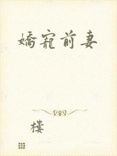 娇宠前妻