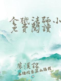 全职法师小说 免费阅读