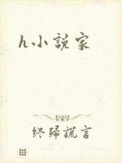 h小说家
