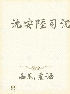 沈安陆司沉小说