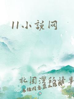 11小说网