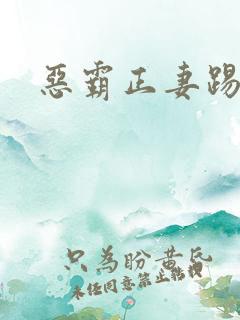 恶霸正妻踢娇妾