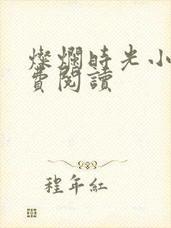 灿烂时光小说免费阅读