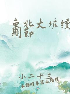 东北大坑续集未删节