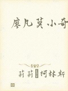 廖凡莫小奇