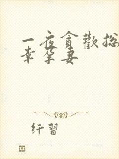 一夜贪欢总裁的幸孕妻