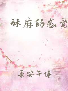 酥麻的感觉小说