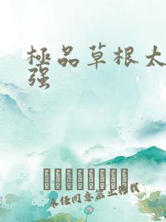 极品草根太子张强