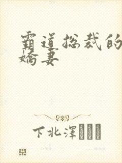 霸道总裁的甜心娇妻