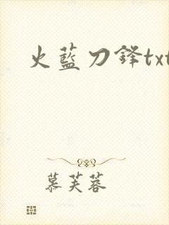 火蓝刀锋txt
