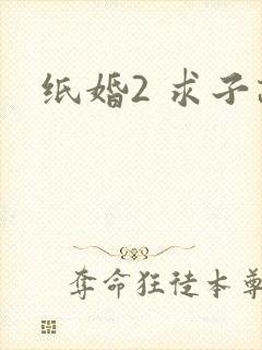纸婚2 求子记