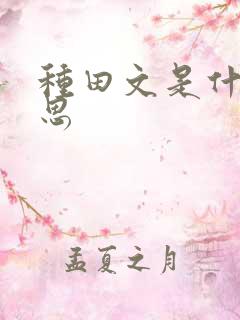 种田文是什么意思