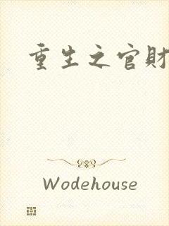 重生之官财人生