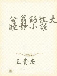 公翁的粗大放进晓静小说