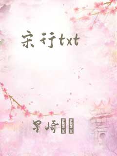 宋行txt