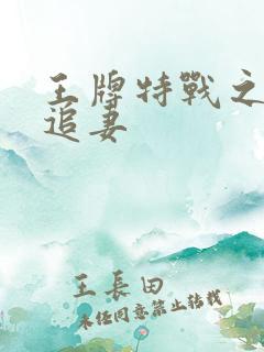 王牌特战之军少追妻