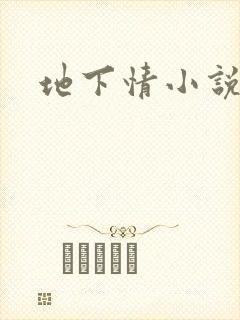 地下情小说