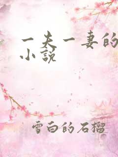 一夫一妻的玄幻小说