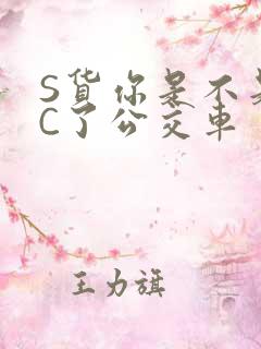 S货你是不是欠C了公交车