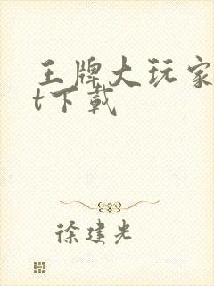 王牌大玩家txt下载