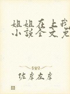 姐姐在上我在下小说全文免费阅读