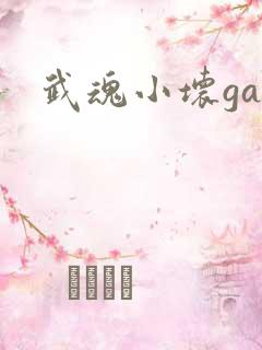 武魂小坏ga