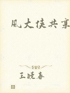 风大侠共享网