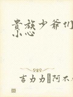 贵族少爷们 请小心