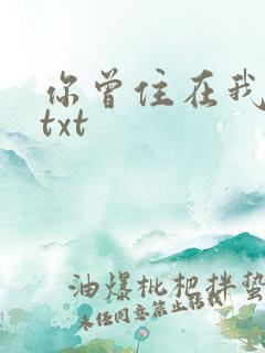你曾住在我心上txt