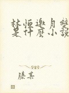 林恒邀月双胞胎是什么小说