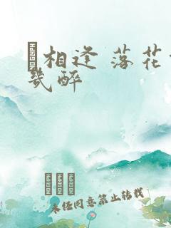 囍相逢 落花能几醉