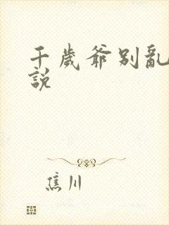 千岁爷别乱来小说