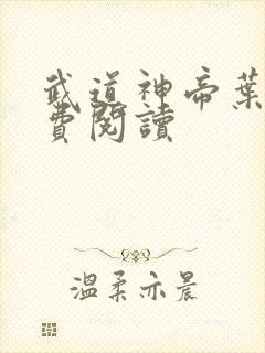 武道神帝叶辰免费阅读