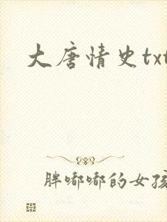 大唐情史txt