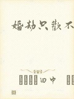 婚劫只欢不爱