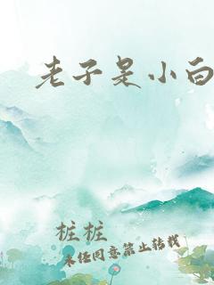 老子是小白脸